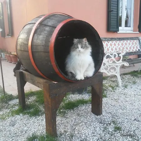 B&B Arcobaleno Bed and Breakfast